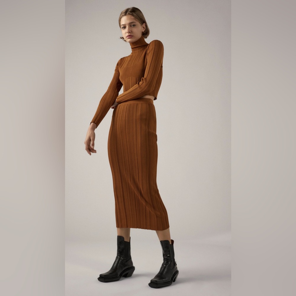 Zara crop top and midi skirt set